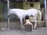 BFI horse zoo sex with Brazilian girl
