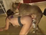 зоофилы – секс с животными и собакой