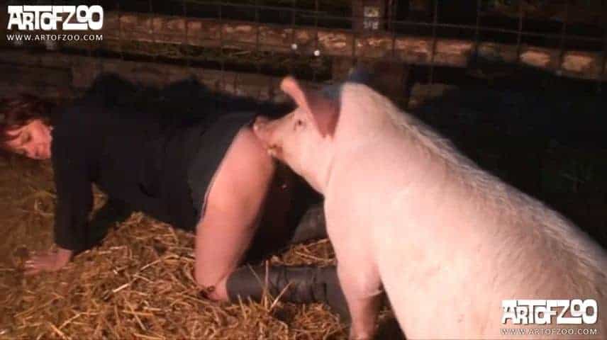ArtOfZoo boar sex - DevoteHuendin in pig stuff - ZooTube Videos