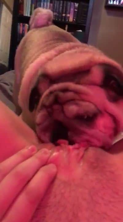 Dog by pussy licked Dog Lick