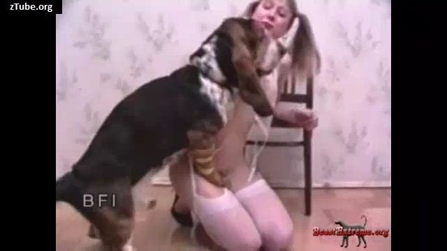 animal porn Beauty rocks Dog woman - ZooTube Videos