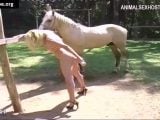 zoosbook horse zoofilia by blonde Many vids