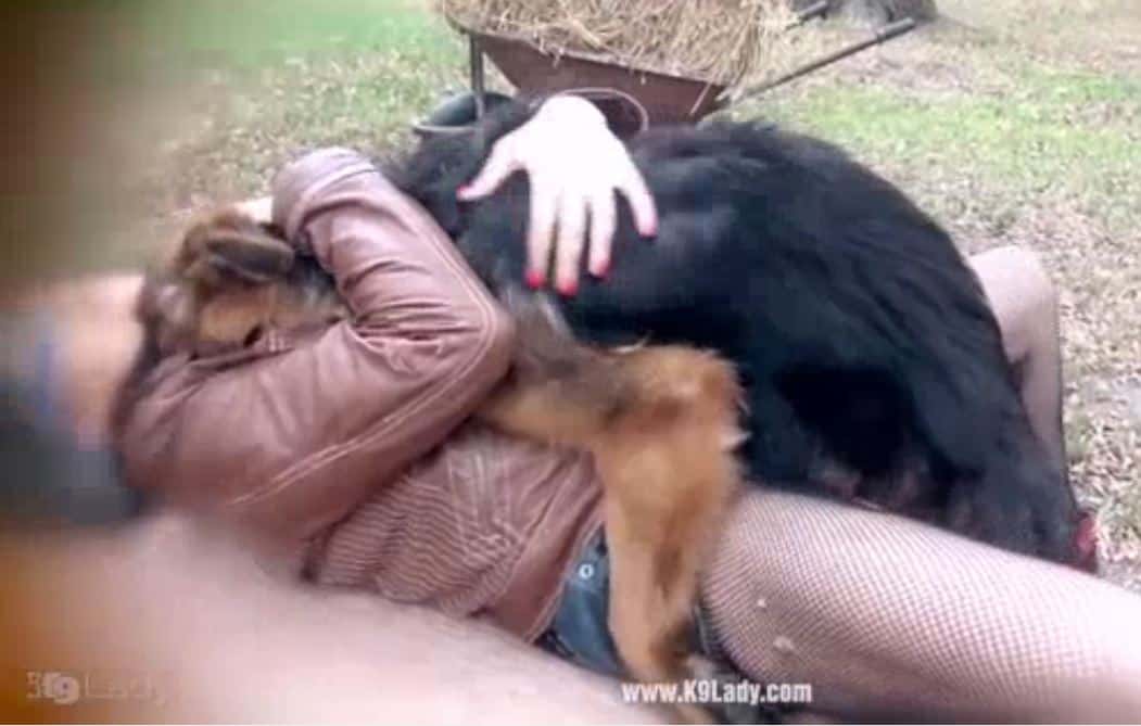 K9 sex with girls