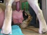 mature woman Susan – zoo anal with dog