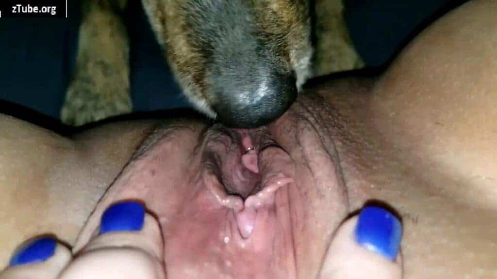 Zoo Porn Licking