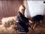 pig sex k9lady – Yasimin dog & boar