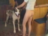 Dog cum sluts orgy with young girls