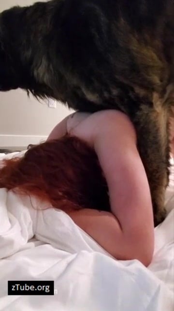 zoo family porno Redhair and dog ZooTube Videos 