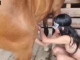zoo porn horse girl with cum drinking