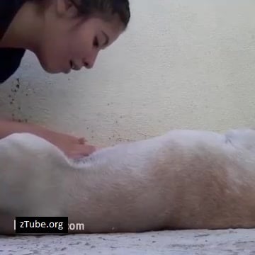 Dog Blowjob Webcam - girl dog webcam - deep blowjob - ZooTube Videos