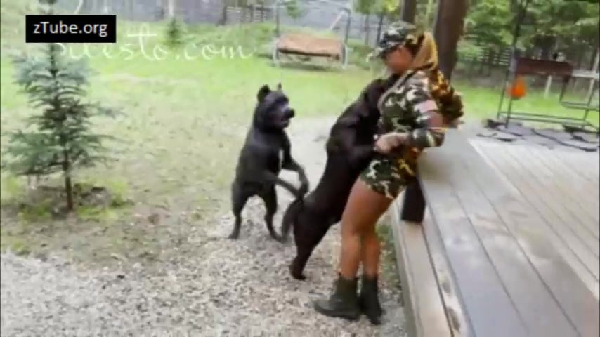 Veronica Silesto Dog Porn Military Party ZooTube Videos 