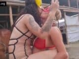 Two horny sluts sucking huge horse cock