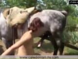 girl pregnant from horse doing Blowjob