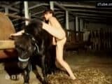 andy pink zoo porn – private horse
