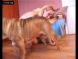 redhead women sucking dog at home