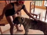 k9 bfi zoo porno with Ebony K9 Agatha